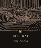 Cesconi Pinot Grigio 2022  Front Label