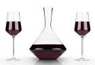 wine.com Raye Decanter Gift Set  Gift Product Image