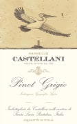Castellani Pinot Grigio 2023  Front Label