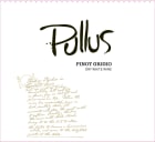 Pullus Pinot Grigio 2022  Front Label