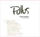 Pullus Pinot Grigio 2022  Front Label