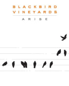 Blackbird Vineyards Arise Napa Valley Proprietary Red (375ML half-bottle) 2019  Front Label