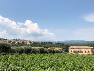 Domaine Du Gros Nore Bandol Rouge 2016 Wine Com Des ses debuts, il exporte ses vins outre atlantique grace a un les vins : domaine du gros nore bandol rouge 2016