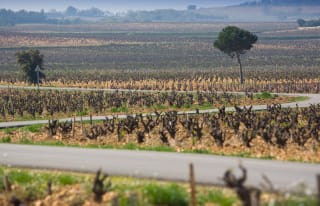 Famille Perrin Chateauneuf Du Pape Les Sinards 17 Wine Com