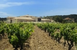 cellers can blau blau 2017