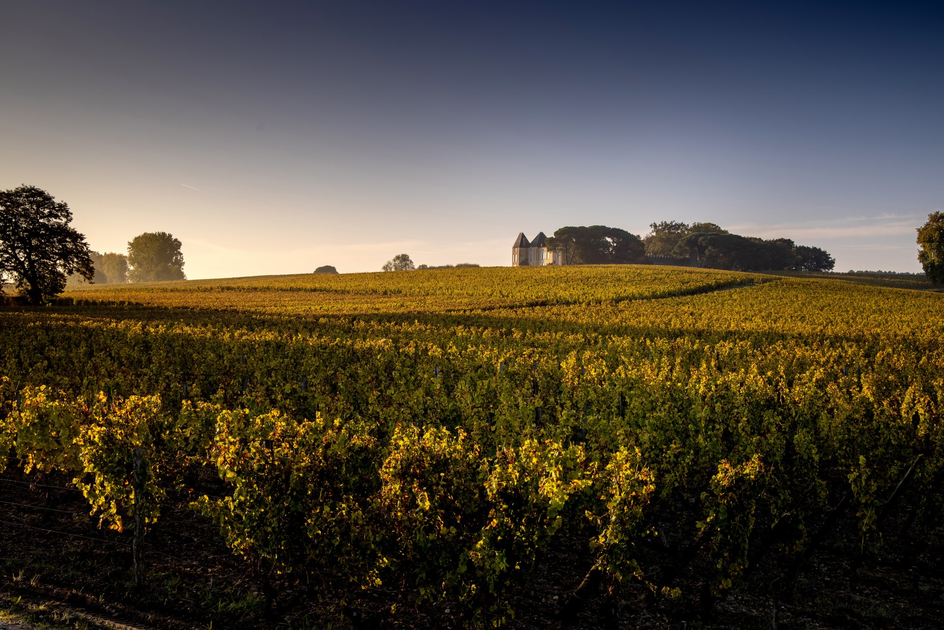 Chateau d'Yquem