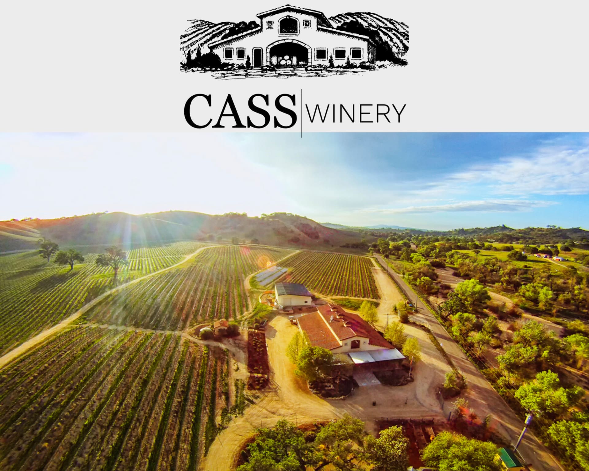 Cass Winery