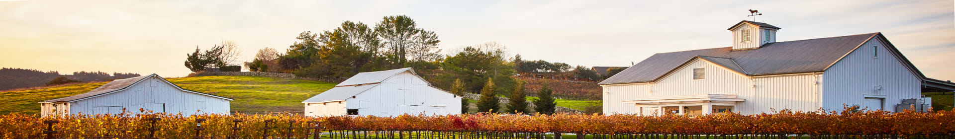 Gamble Family Vineyards