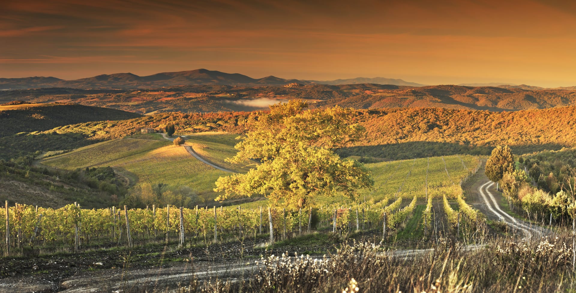 Castiglion del Bosco