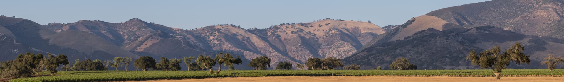 Zaca Mesa