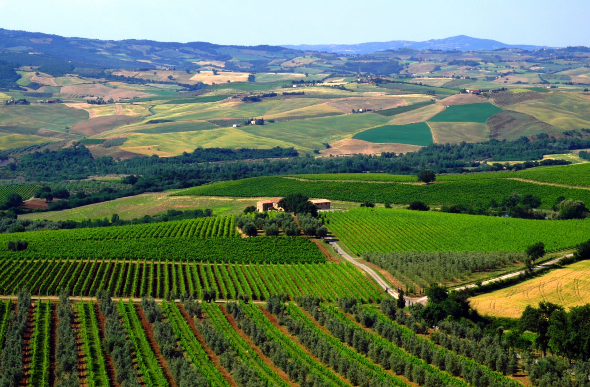 Col d'Orcia