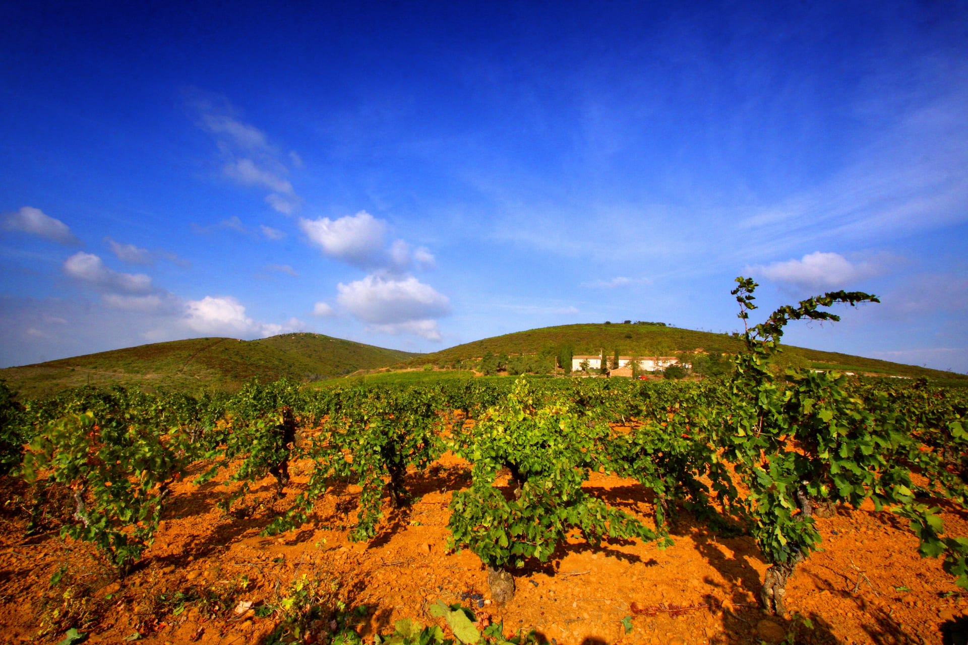 Domaine de Fontsainte