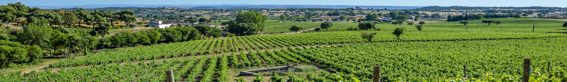 Quinta Da Fonte Souto