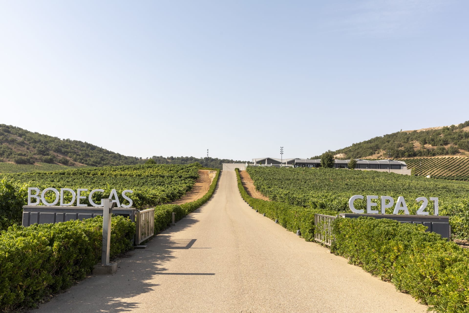 Bodegas Cepa 21