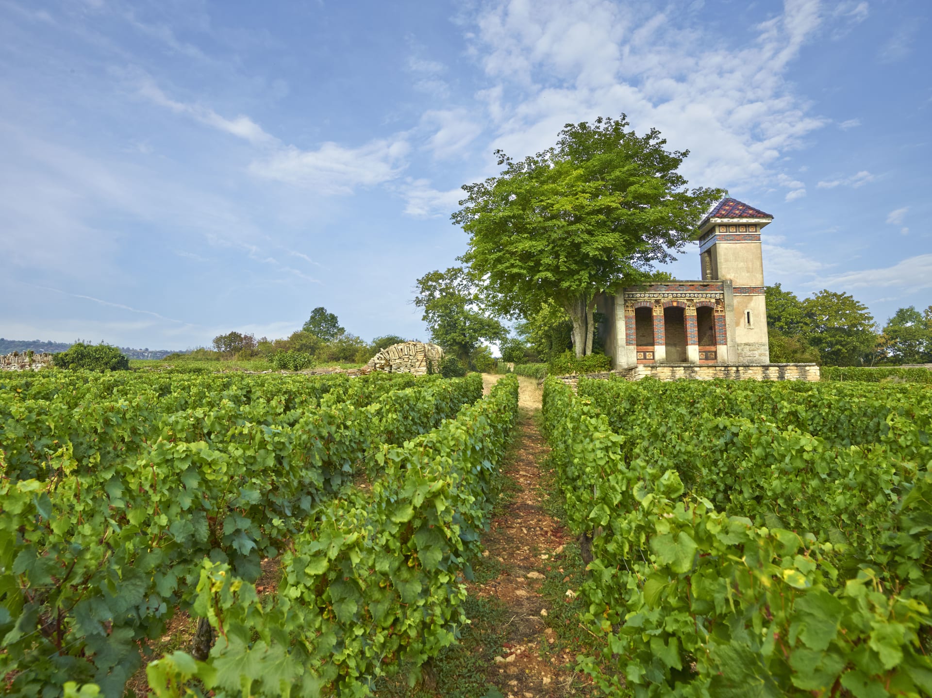 Domaine Roulot