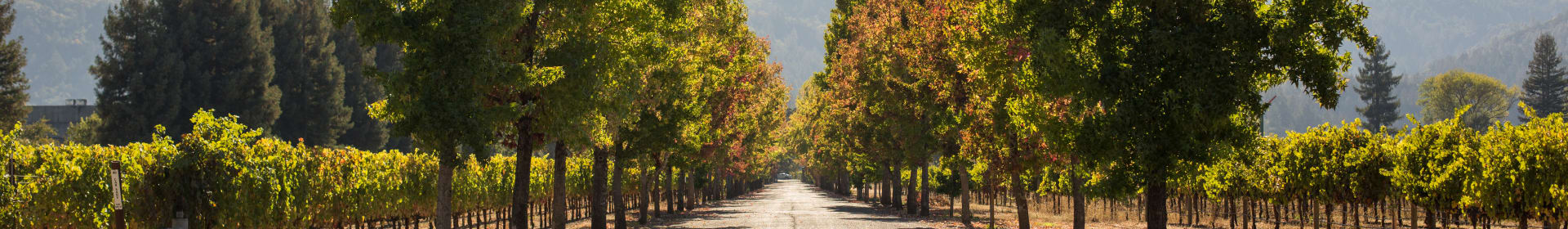 Beaulieu Vineyard