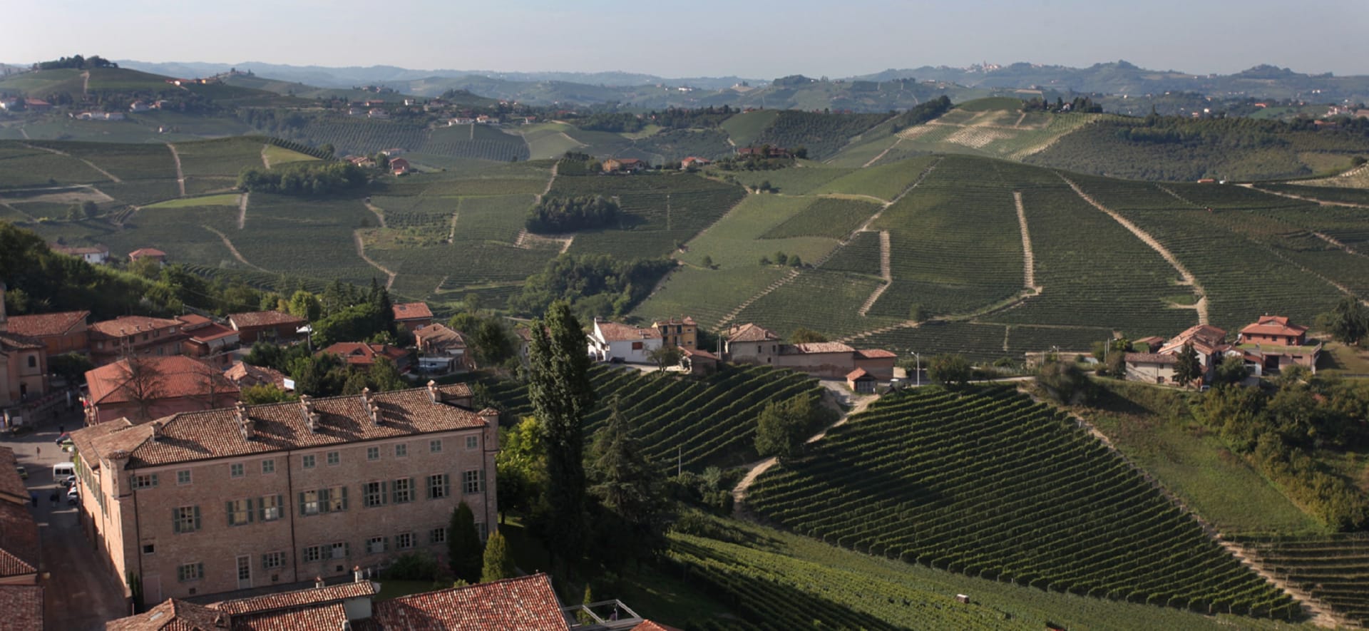 Gaja Alteni di Brassica Sauvignon Blanc 2019 | Wine.com