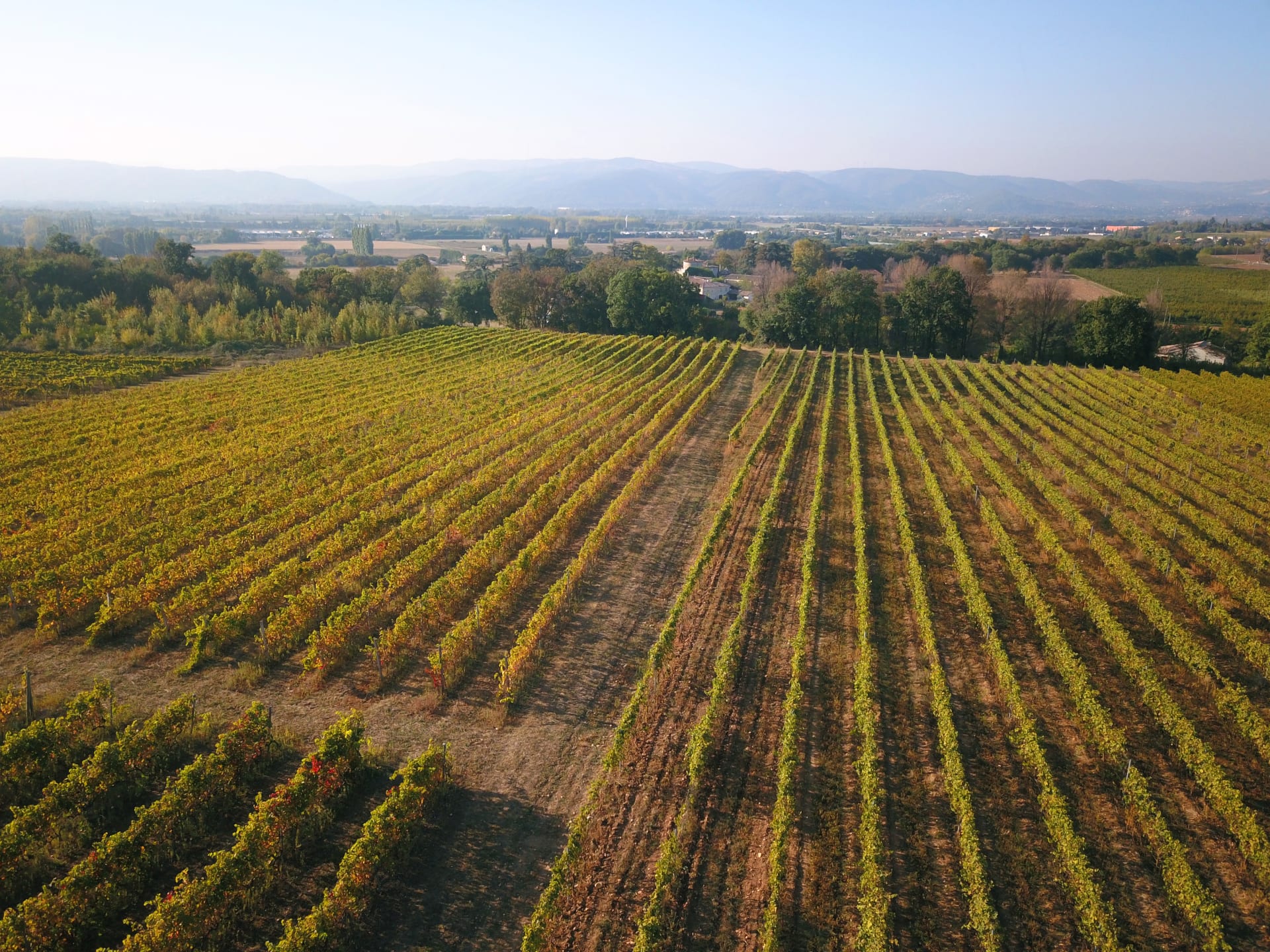 Domaine Lombard Vin de Pays de La Drome Le Re Nommee 2017