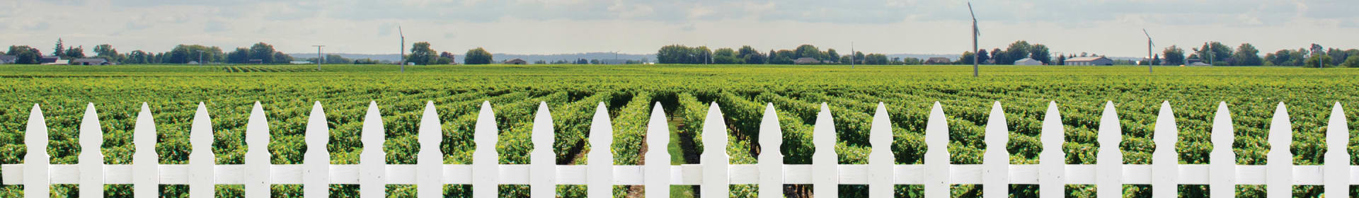 Picket Fence