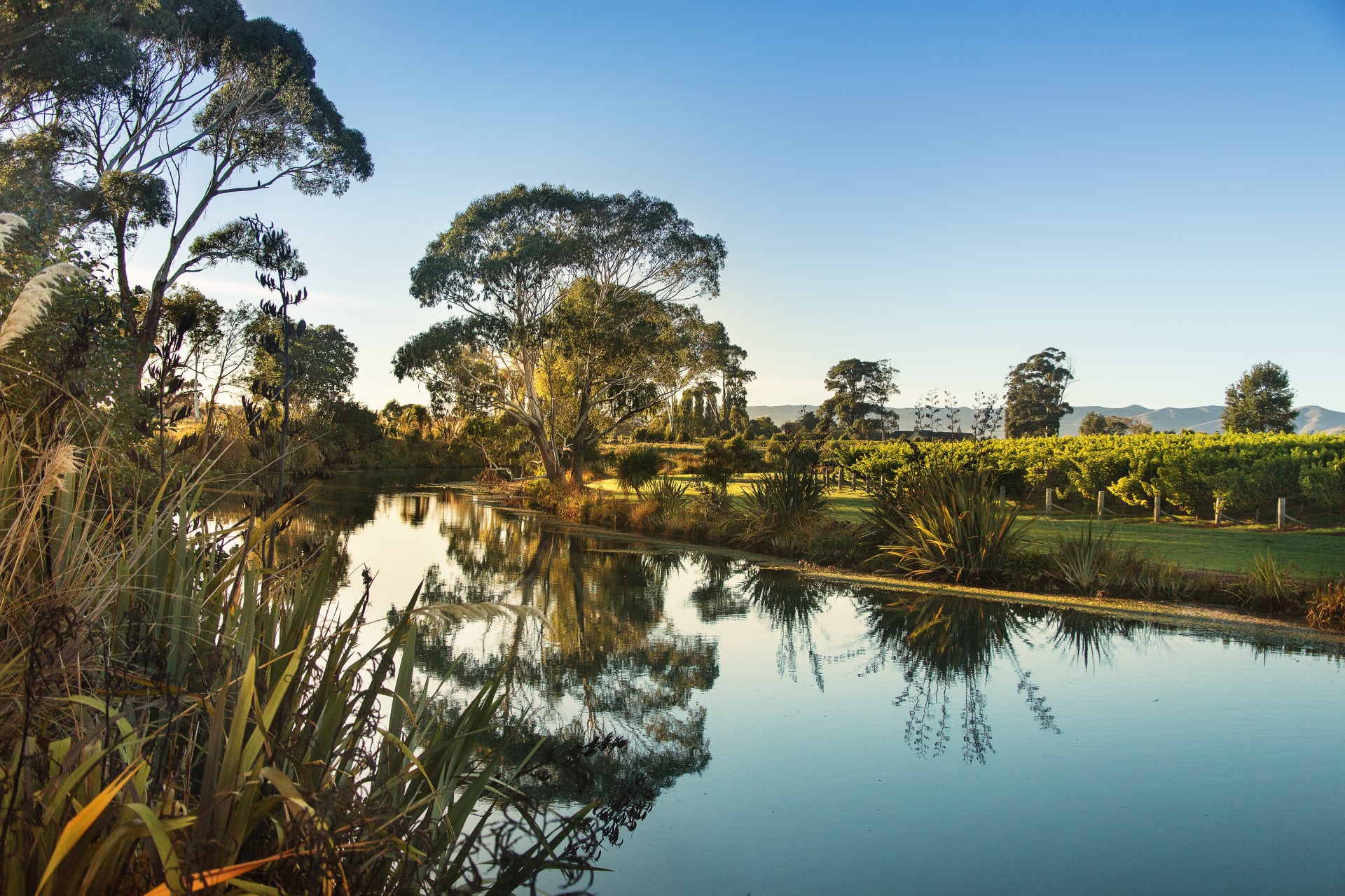 Wairau River