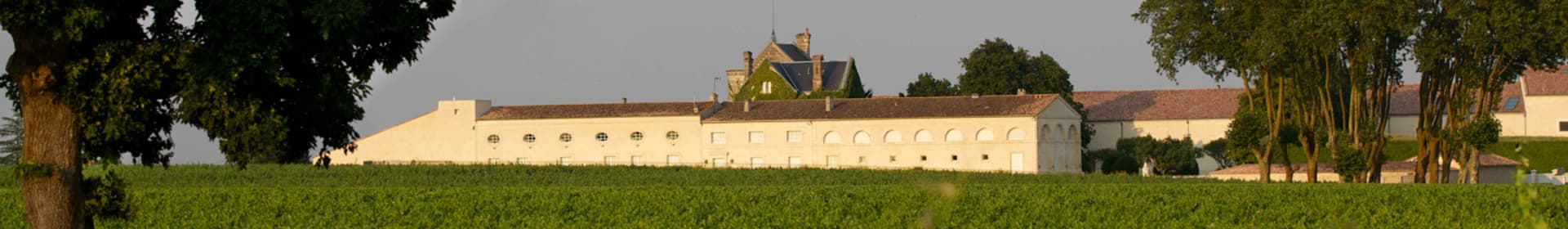 Chateau Mouton Rothschild