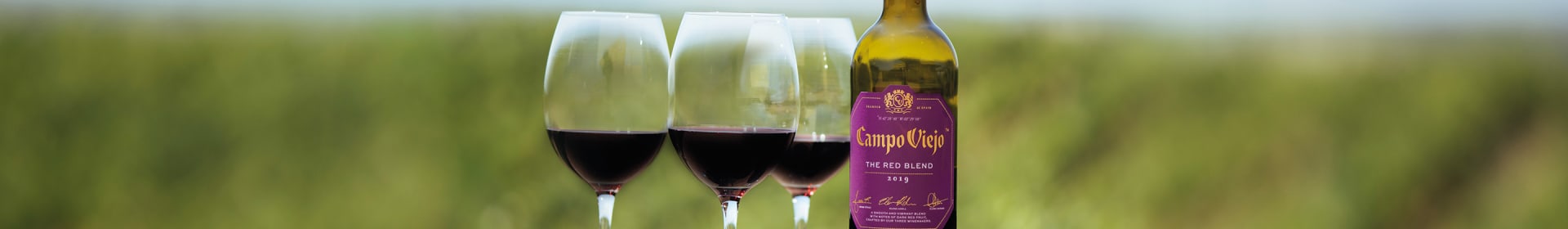 Campo Viejo