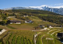 Kofererhof Weingut Köfererhof, Tyrol, Italy Winery Image