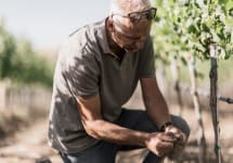 Chasing Rain Gianfranco Farimbella - Vineyard Manager Winery Image