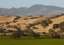 Firestone Winery Image