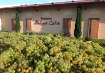 Philippe Colin Winery Image