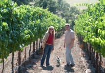 Cellars 33 Katie and John in the Vineyard Winery Image