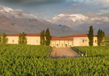 Cuvelier Los Andes Winery Image