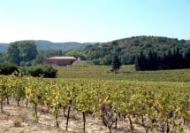 Chateau de Segries  Winery Image