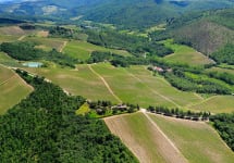 Castello di Monterinaldi  Winery Image