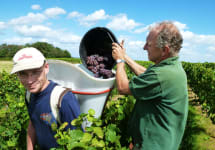 Domaine de Reuilly Winemaker Denis Jamain  Winery Image