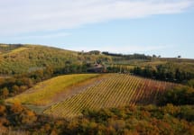 Il Molino di Grace  Winery Image