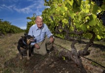 Kay Brothers Colin Kay with Sam in Block 6 Winery Image