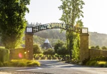 Great Women Spirits by Francis Ford Coppola Winery Image