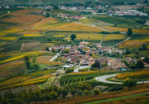 Elio Altare  Winery Image