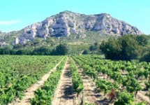 mas de la dame wine learn about buy