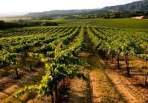 Artezin Winery Image