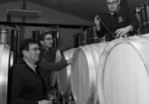 Clement & Florian Berthier Winery Image