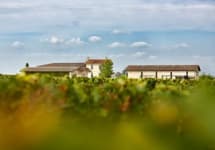 Chateau Chauvin Winery Image