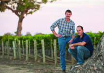 Leconfield Wines Learn About Buy Online Wine Com