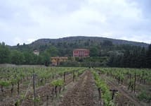 Chateau de Jau Winery Image