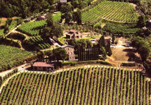 La Gerla La Gerla Panoramic View Winery Image