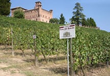 Terre del Barolo  Winery Image