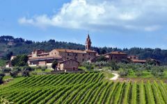 Tenuta di Arceno  Winery Image