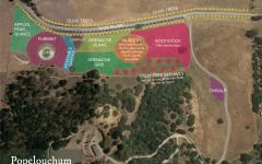 Bonny Doon Popelouchum Vineyard Map Winery Image