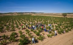 Bodegas y Vinedos Ilurce  Winery Image